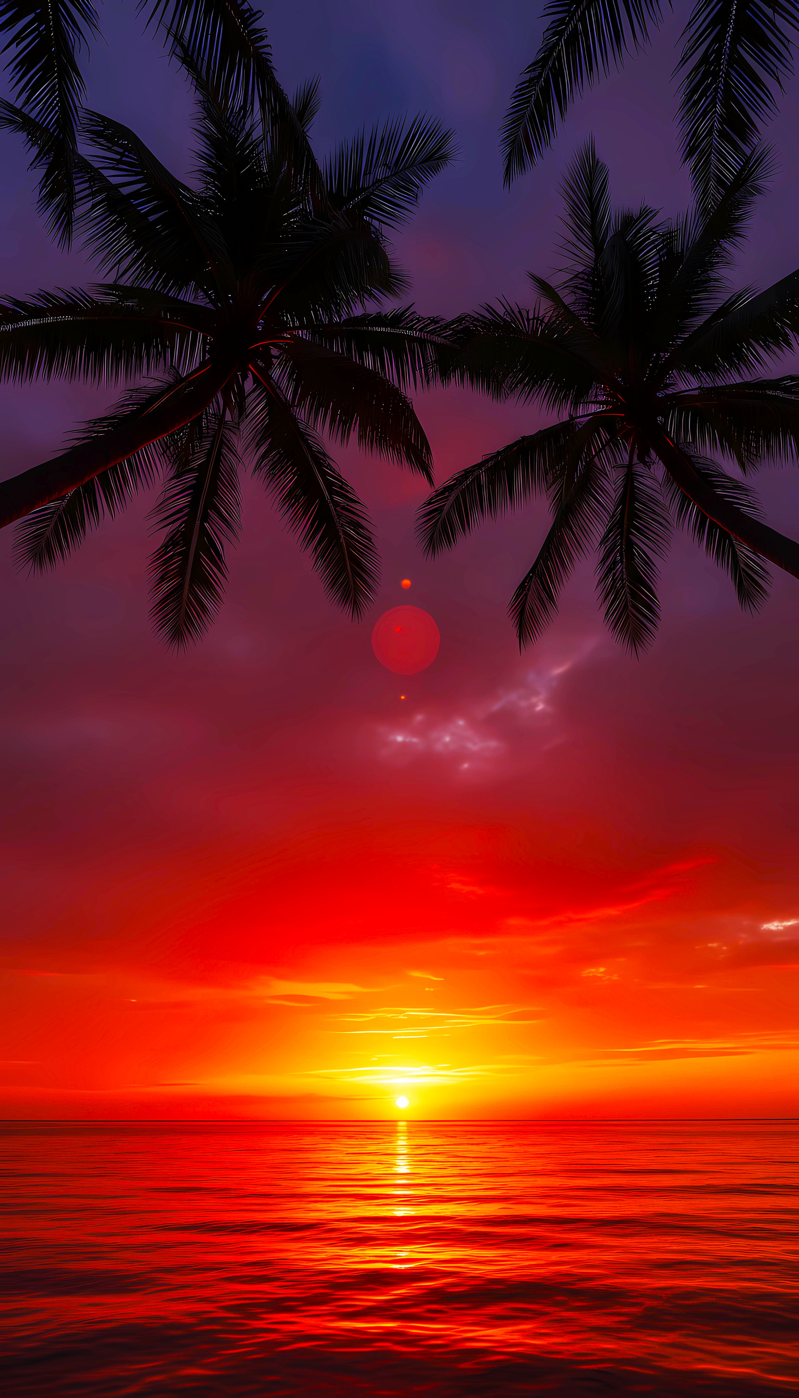 Tropical Palm Trees Sunset - Nature Sky Wallpaper
